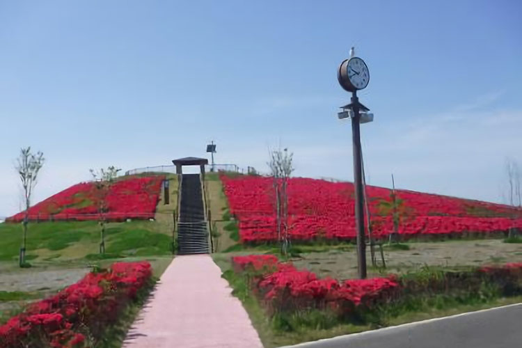 ダイケンパーク岩沼海浜緑地