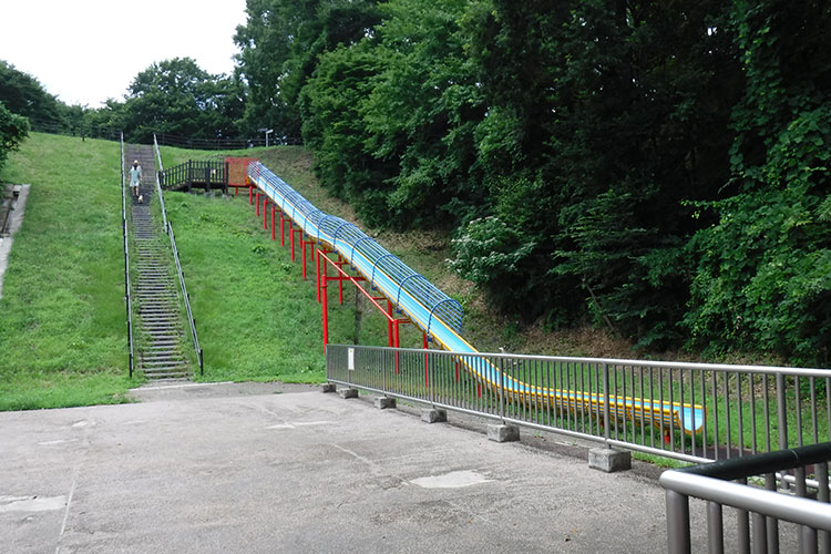 宮城県総合運動公園（スポーツ施設除く）