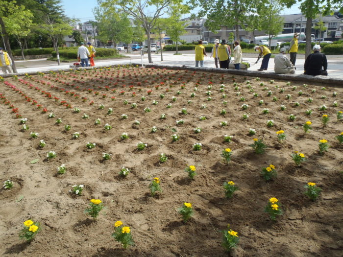 花壇の周辺も清掃