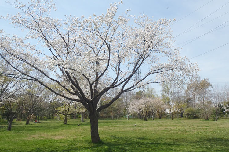 多賀城みずむすび公園